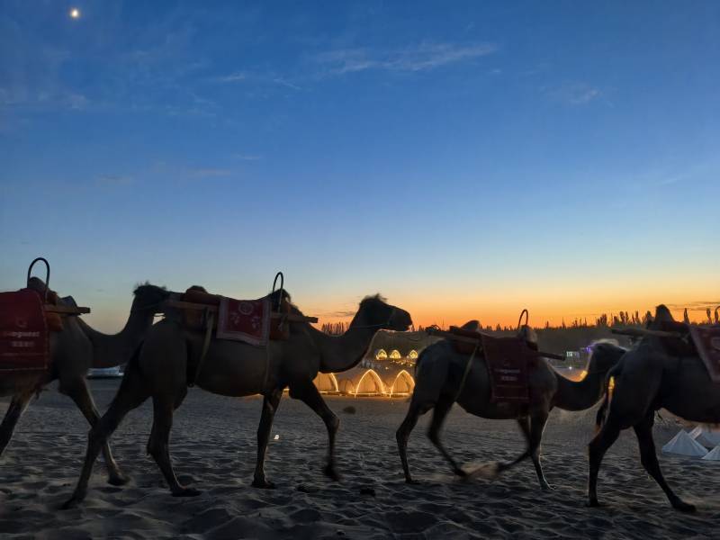 从揭阳到甘肃，玉器与夜光杯的千年对话：一场关于收藏与风物的深度旅行指南