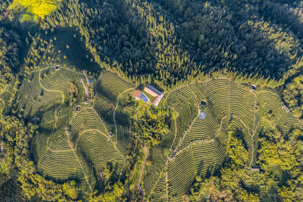 成都!又一国家级!_乡村_特色_休闲