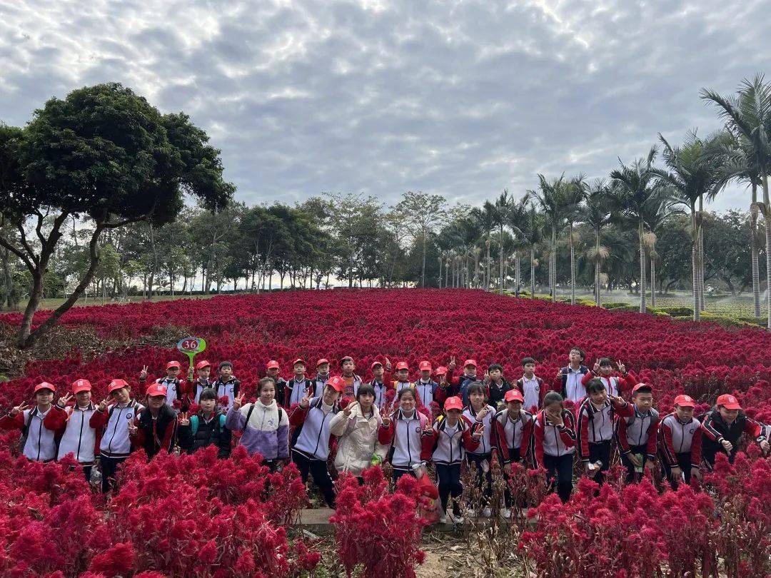 小惠社会实践课堂 | 解锁花苗栽种密码 仲恺陈江小学萌娃学栽种_种植