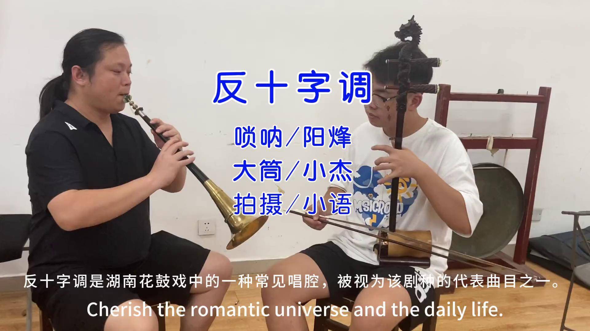湖南花鼓戏《反十字调》谁说戏曲不抖音 阳烽唢呐 课堂实录