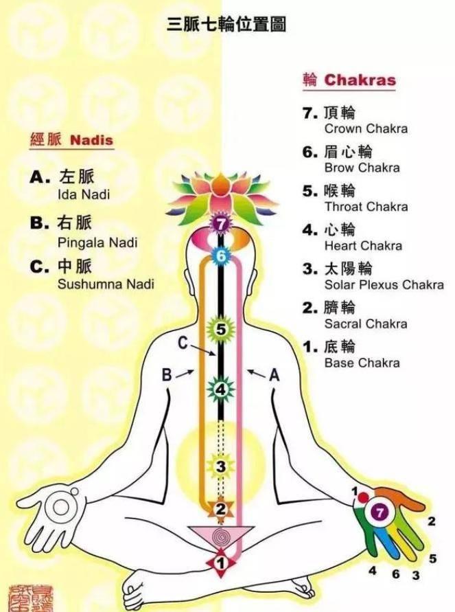 先师陈撄宁曾于六十年前将西派李涵虚的文集全部较点了一遍,重新刻印