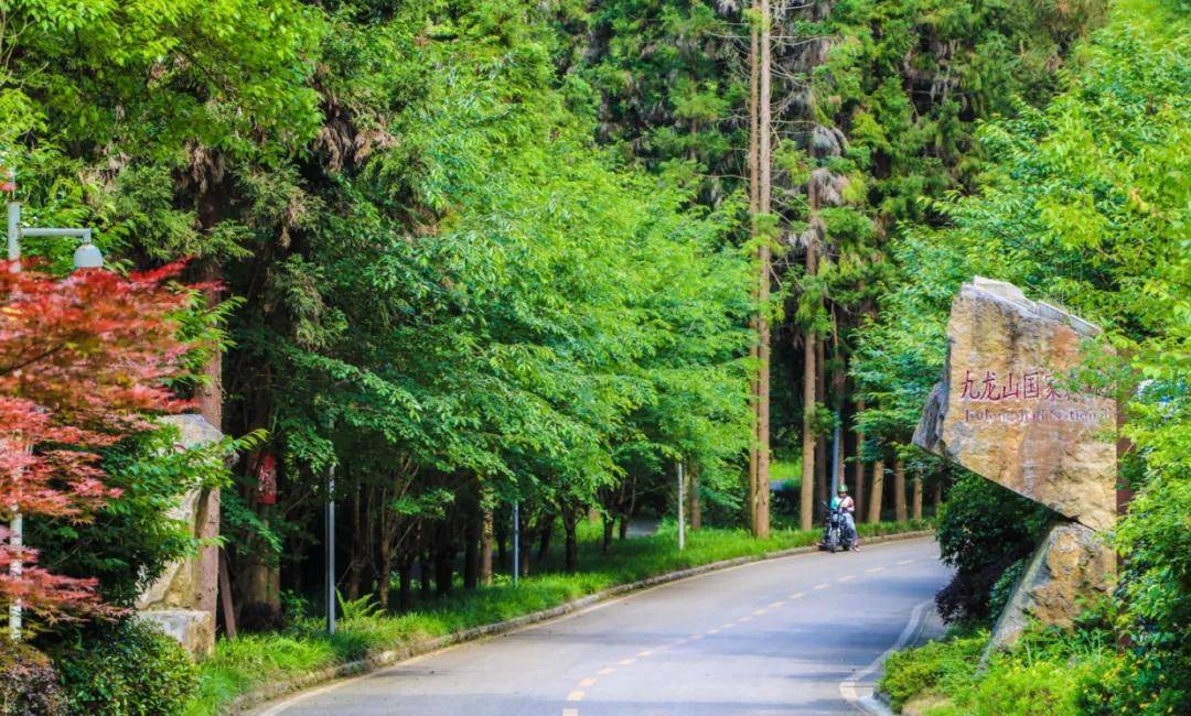 来源:安顺文化旅游贵阳药用植物园 来源:享趣贵州