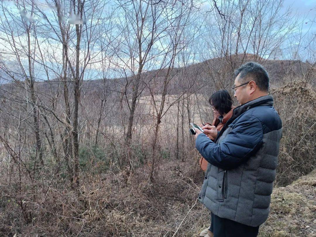 保耕地,守红线|西坡镇全力推进2023年度国土变更调查耕地流向图斑核查