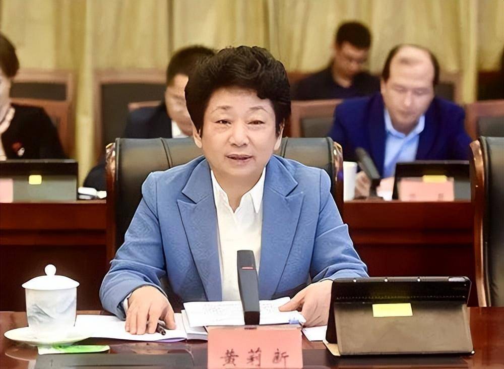 年12月转任河北,任河北省委常委,省政府党组成员,雄安新区党工委书记