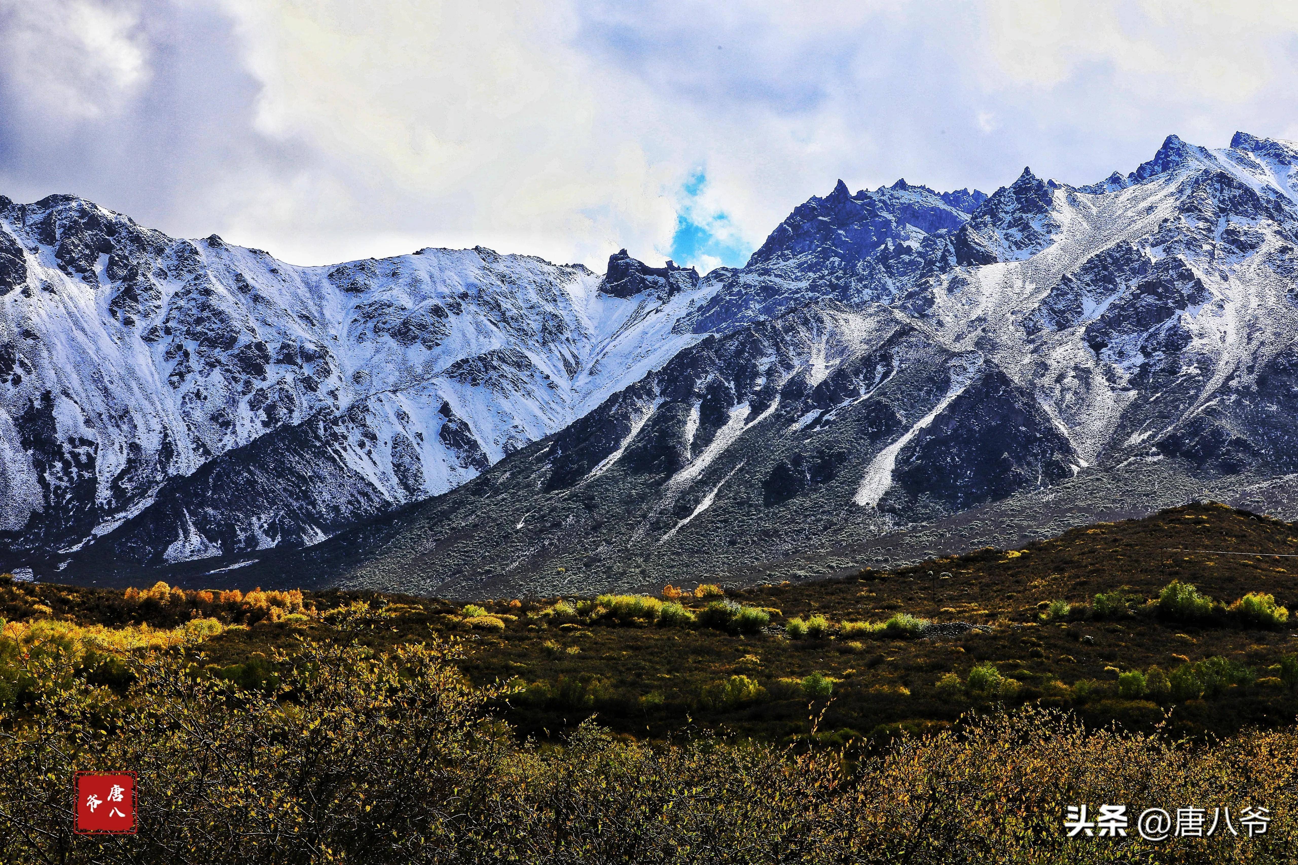 高山晶莹雪图片