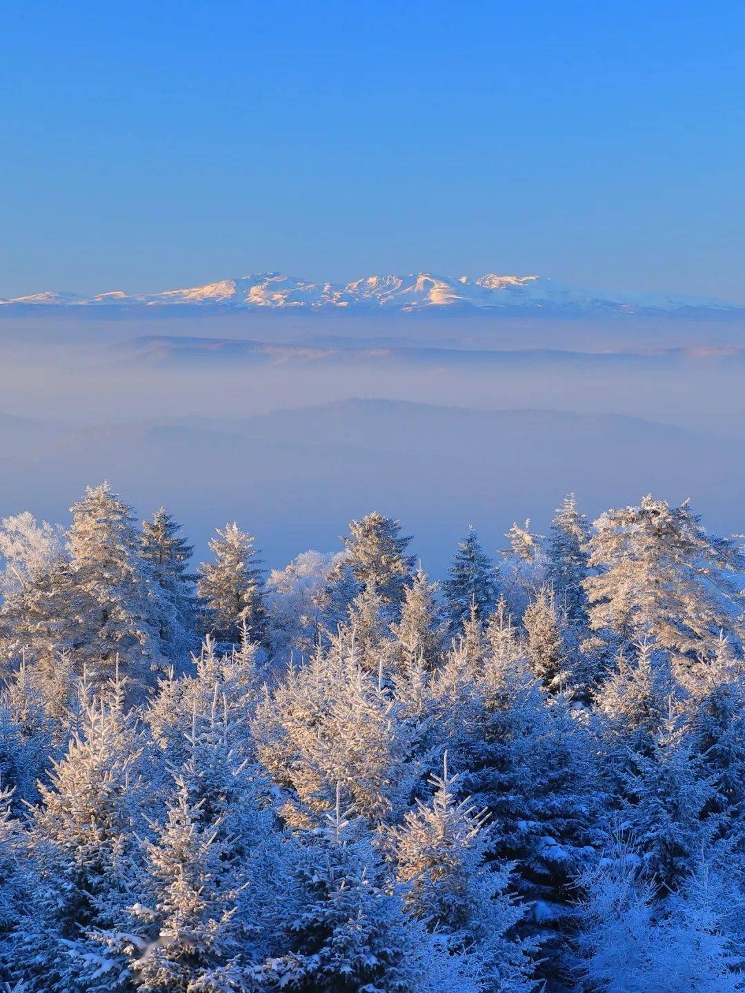 吉林雾凇图片 雪景图片