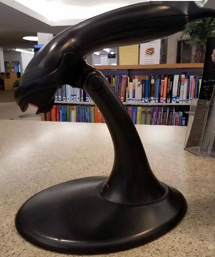 赫特人贾巴远足的老灵魂蜂鸟形状的冰柱我家附近的这些藤蔓看起来像一