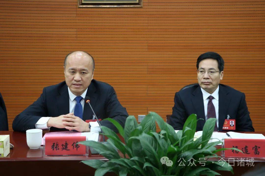 张建伟参加密州代表团审议_发展_工作_报告