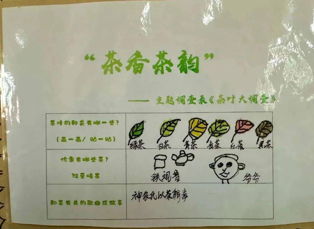 【班本课程】茶香茶韵——马甲意绥中心幼儿园中三班课程故事_茶叶