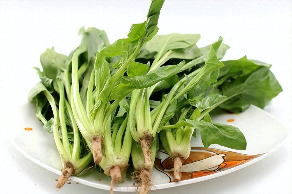 减脂控糖降三高,真正的低升糖蔬菜是这3种_食用_血糖_饮食