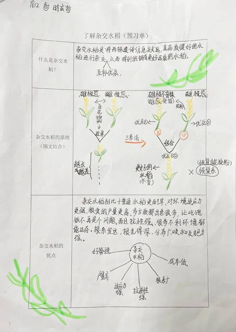 种子的力量手抄报图片图片