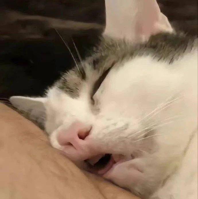 奇怪的表情包:手头有点儿紧