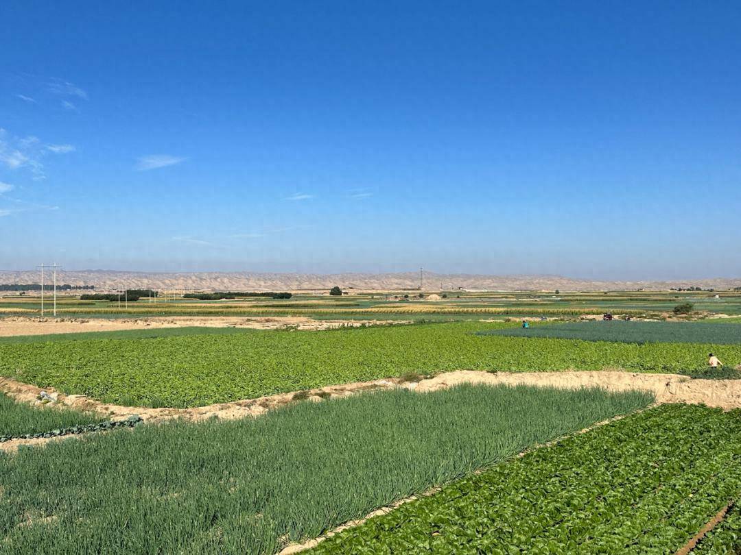 靖远乌兰:特色赋能让美丽乡村焕发新活力