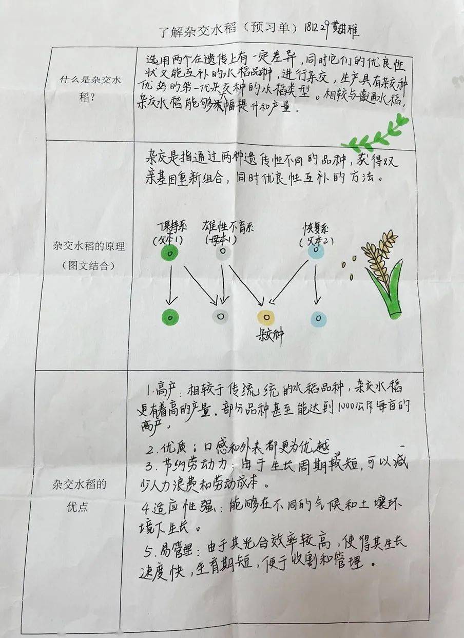 种子的力量手抄报图片图片