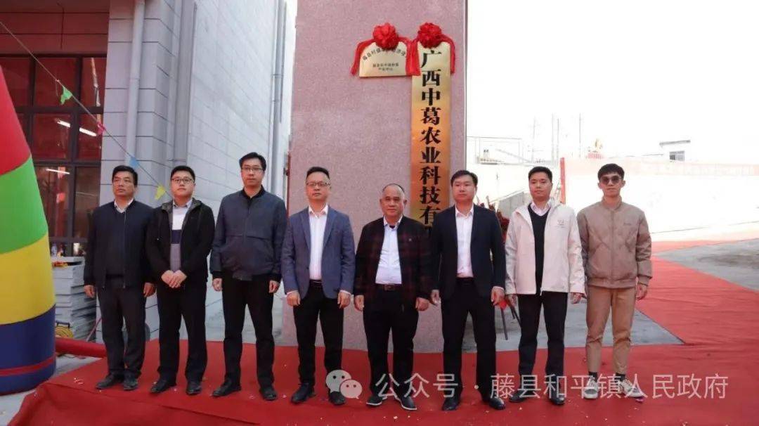 全国最大镇级粉葛产业中心在藤县揭牌_发展_和平_太平