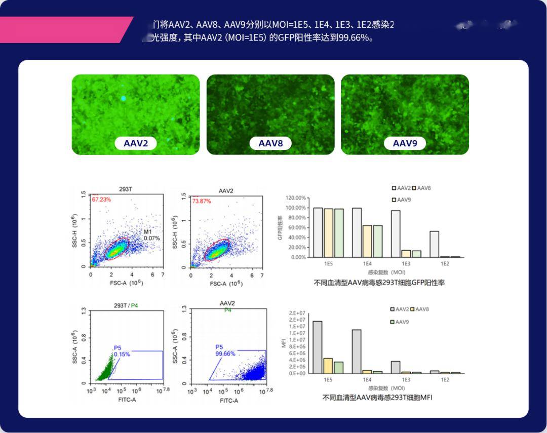 ngs測序-vus(意義未明突變)- ai模型預測生物學結果-minigene實驗驗證