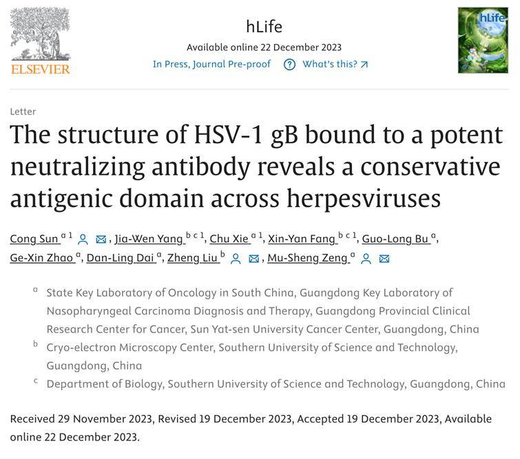 hlife letter | hsv-1 gb-中和抗體複合物結構揭示皰疹病毒家族潛在的