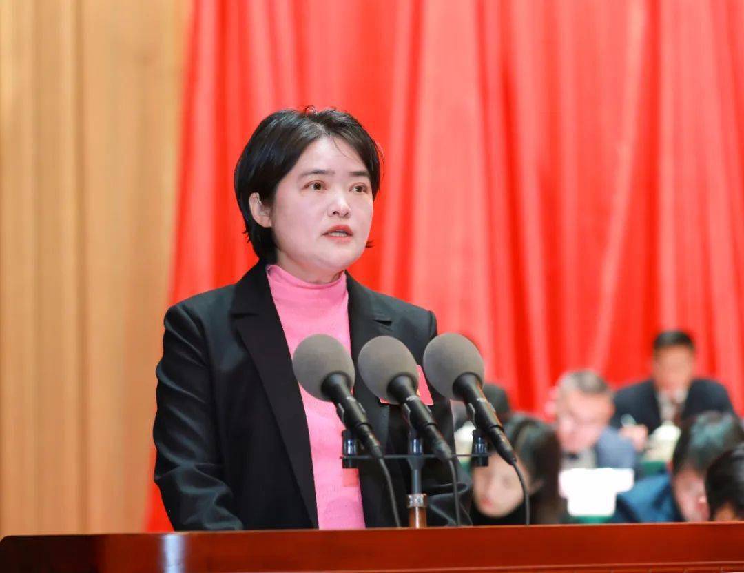 人代会 | 建湖县第十九届人民代表大会第三次会议隆重开幕_工作_县