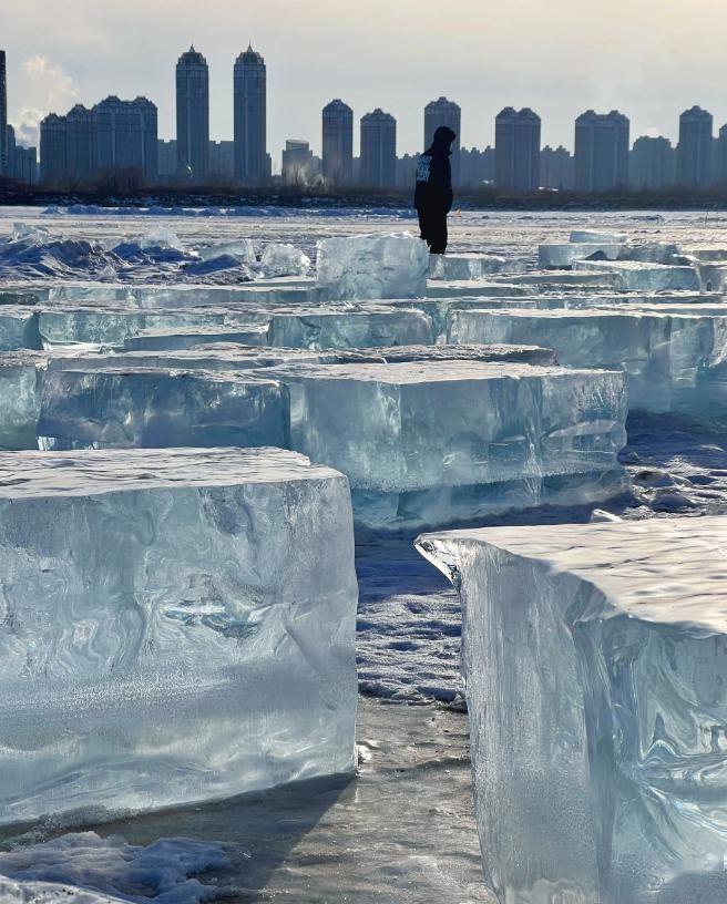 才能撬动这一块冰砖采好冰砖后由专门的运输车辆把它们送往加工地点到