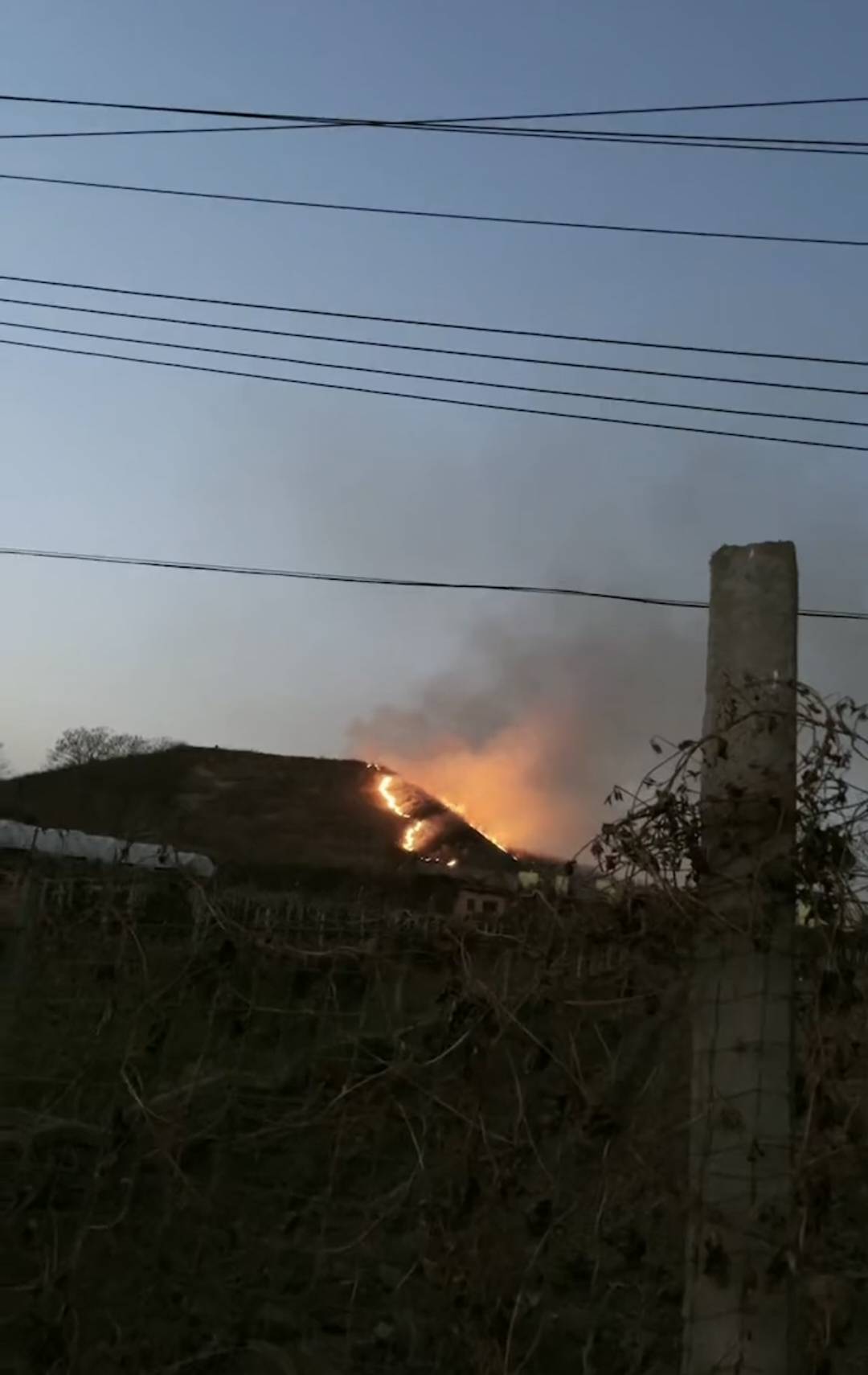 陕西汉成帝延陵起火?当地村民在耕地放火引发陵区现场没损坏