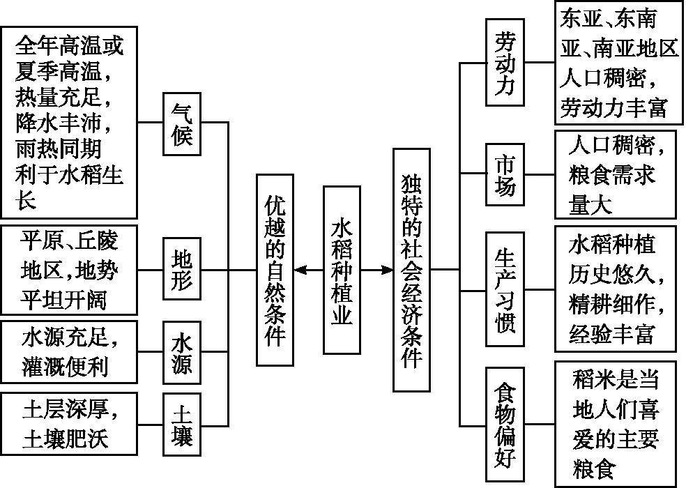 水稻生长的思维导图图片