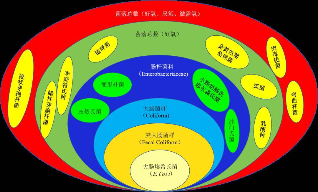 目前在微生物檢測工作中的衛生指示菌主要分為三種類型:常見的衛生