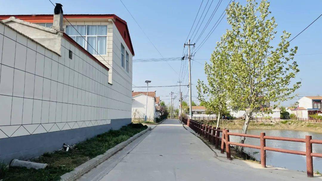 这一年 | 砀山县唐寨镇:砥砺奋进新征程 务实担当谱新篇