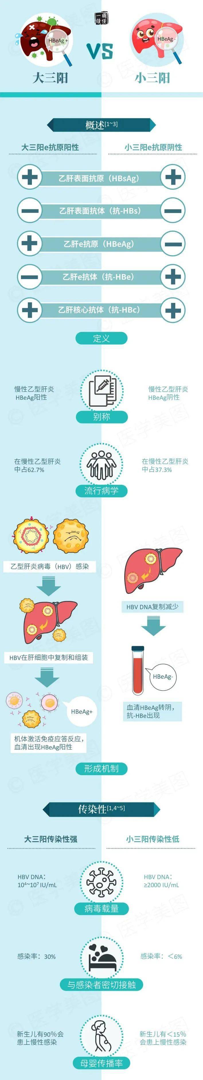 健康科普丨大三陽vs小三陽是啥?_病毒_接種_狀態