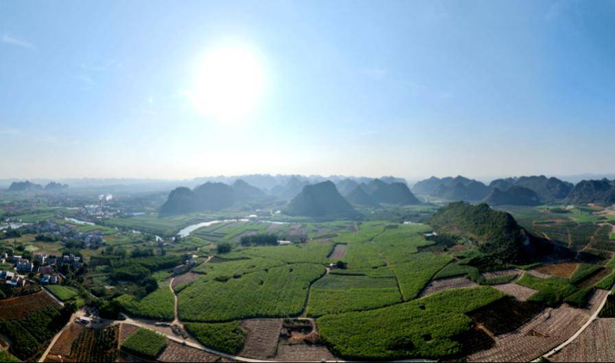 美翻了我的村90丨崇左市扶绥县渠黎镇:产业赋能 乡村宜居"新画卷"