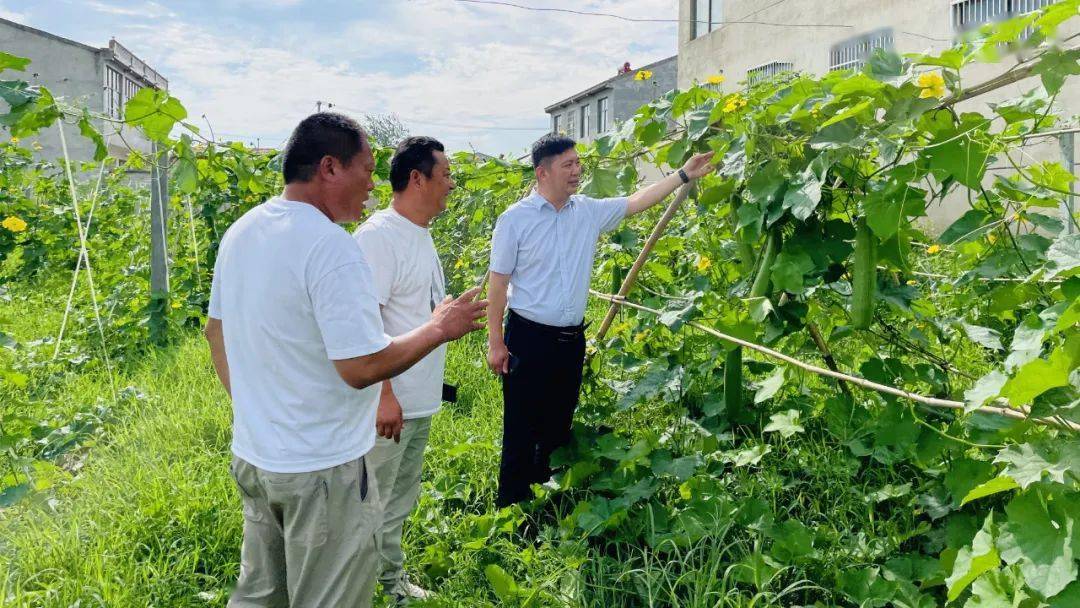 这一年 | 砀山县唐寨镇:砥砺奋进新征程 务实担当谱新篇