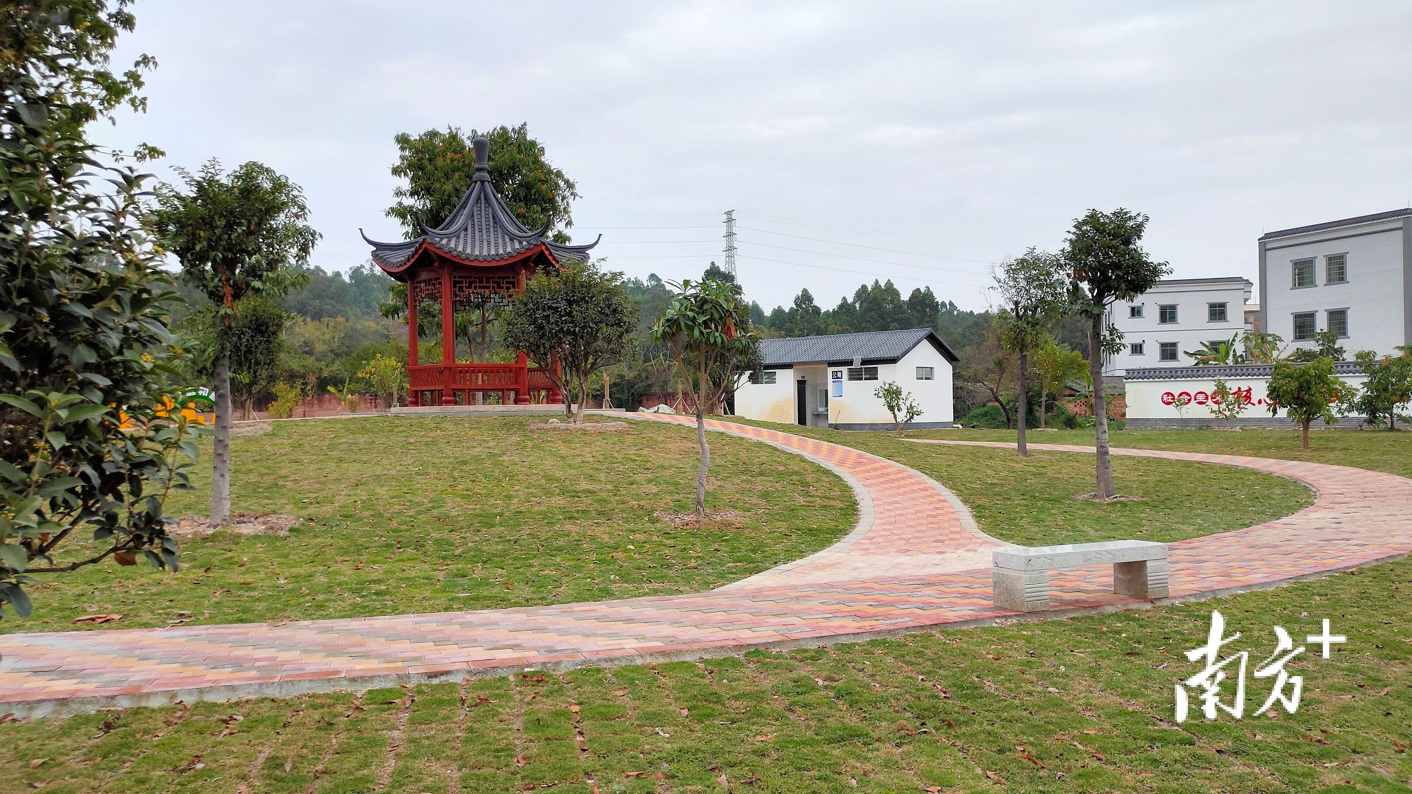 茂南:繪就綠色發展新畫卷_建設_茂名市茂南區_活動