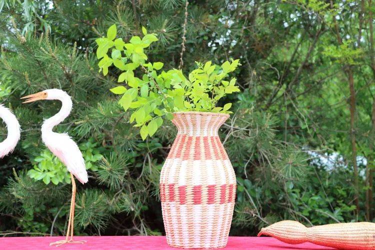 老百姓自古以来就有利用白云湖蒲草,芦苇编织芦苇席,蒲草席,草鞋,蒲团