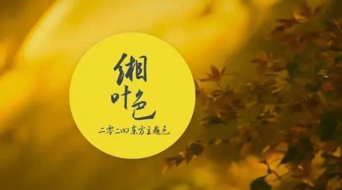 鉴藏|龙临福至,收藏演绎东方美学的「黄色系」茅台酒_主题_色彩_中国