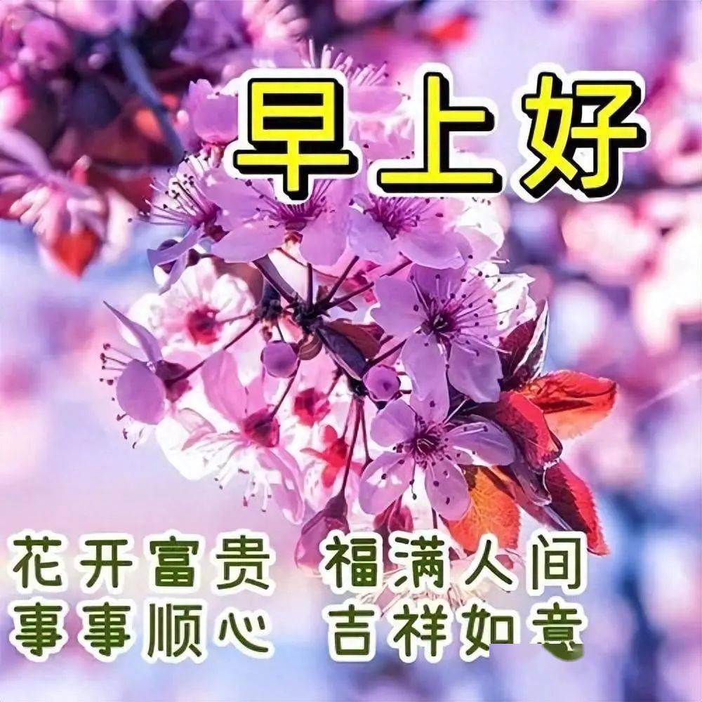 早上好最新祝福圖片精選,花開富貴,福滿人間!_生活_朋友_開心