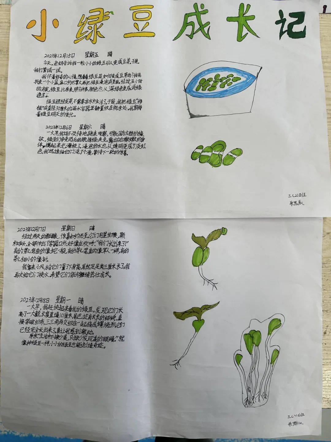 趣勞動 玩科學——華墅小學第二屆校園勞動科技節_博士_年級_能力