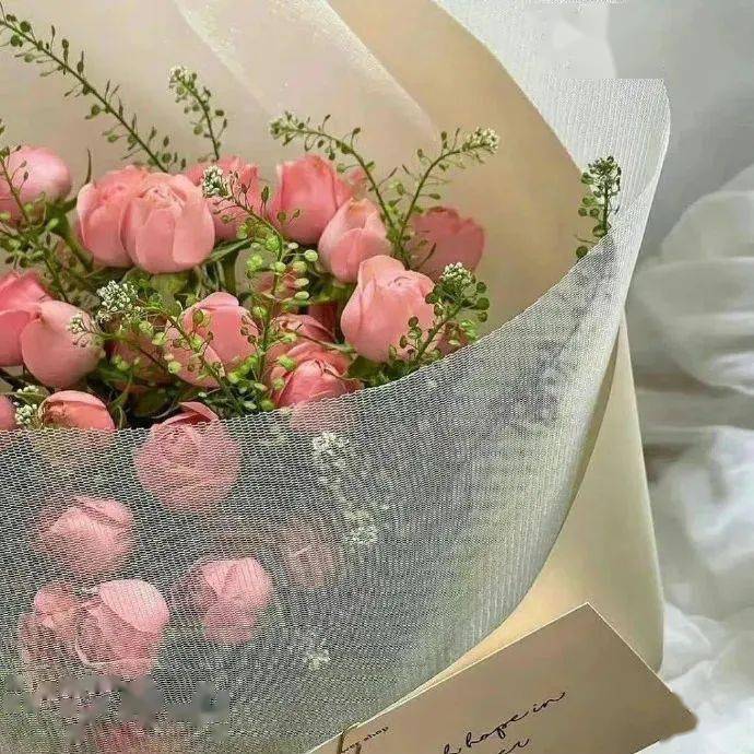 背景图 | 丰富一下你的wechat背景图～ 676767