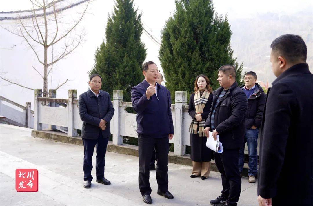 李昊天调研督导中央专项彩票公益金支持欠发达革命老区乡村振兴项目