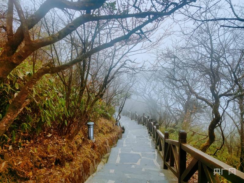 飛閱貴州丨一小時航線串起梵淨山,萬峰林絕美冬韻_潘利清_銅仁市_奇特