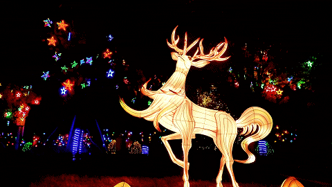 风光展现毕节深厚的历史文化响水滩,奢香夫人等彩灯造型设计了织金洞