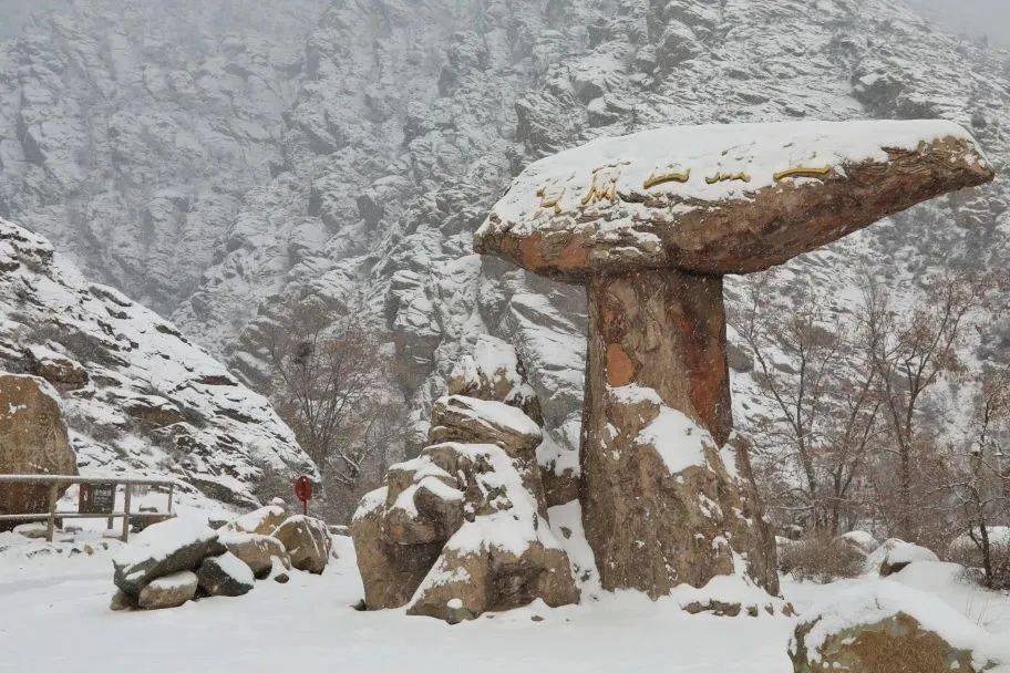 优惠政策进行中,银川众多精彩活动邀您来体验_景区_宁夏_消费