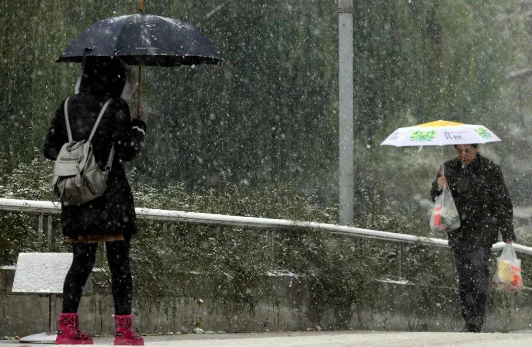 雨夹雪转暴雨图片