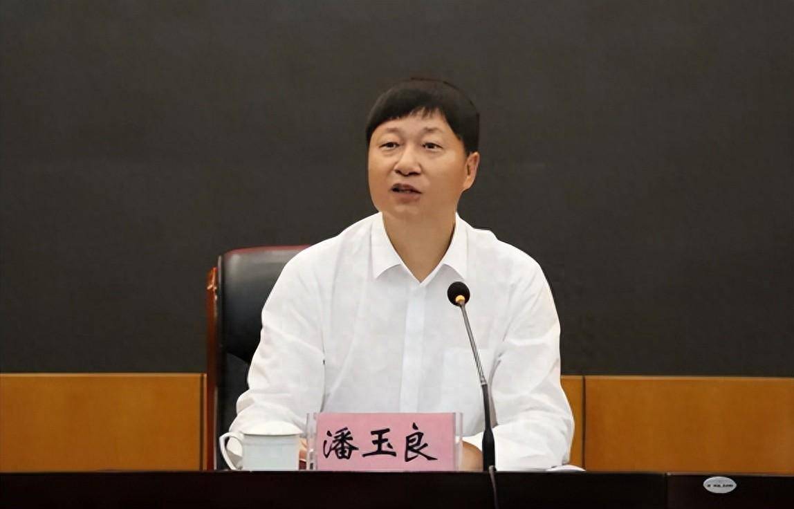 调岗2个月后,潘玉良主动投案_云南省纪委_教育_全省
