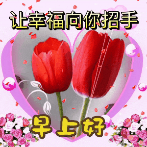 精选最新版周日愉快好看祝福语图片表情大全,愿君周日愉快吉祥安康!