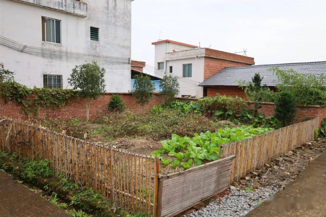 南雄农村的"美丽庭院",城里人都看哭了!_生活_院子_农家小院