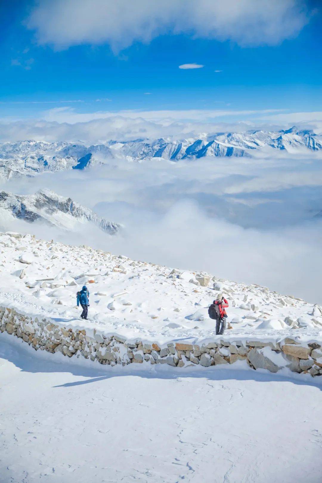 魅力_雪地_美景