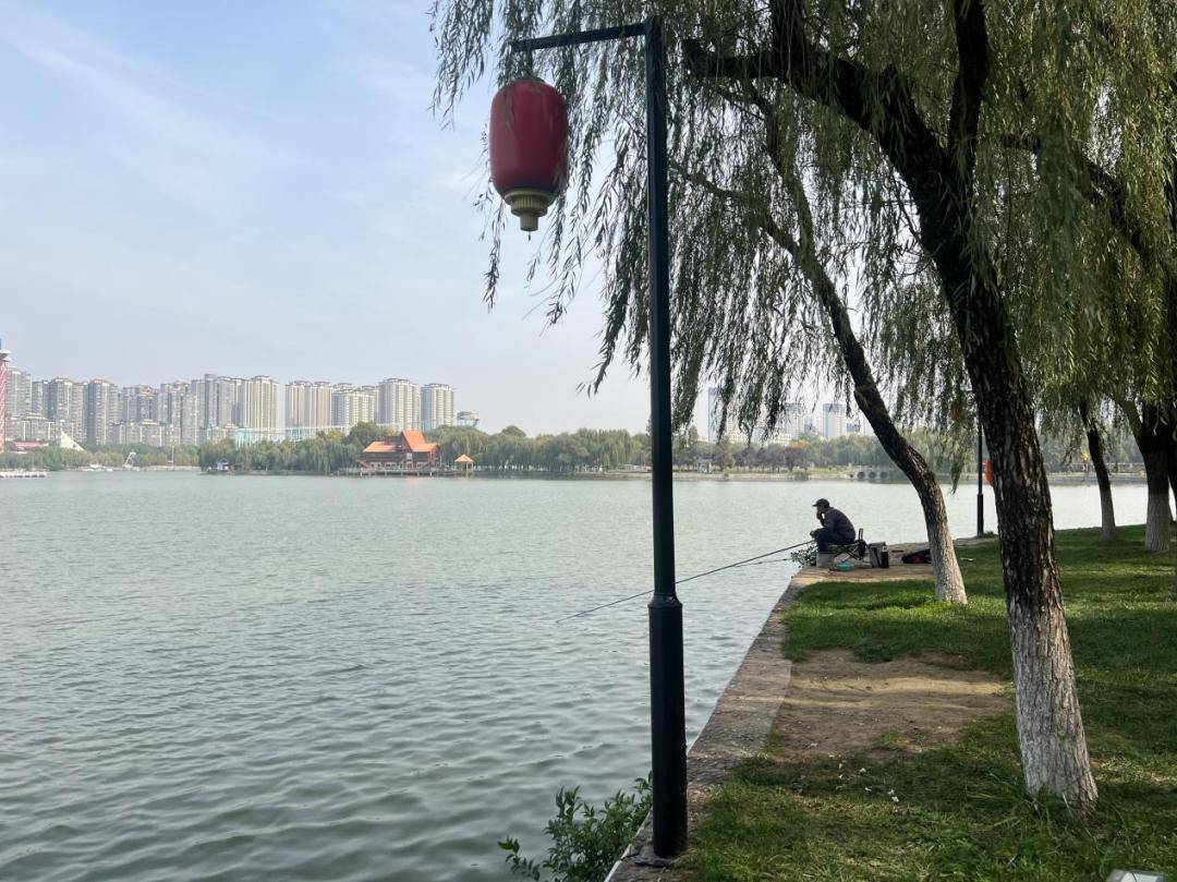 快来沉浸式感受未央公园生态之美_城市_未央湖_冬日