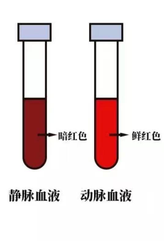 健康科普 检验科普小知识