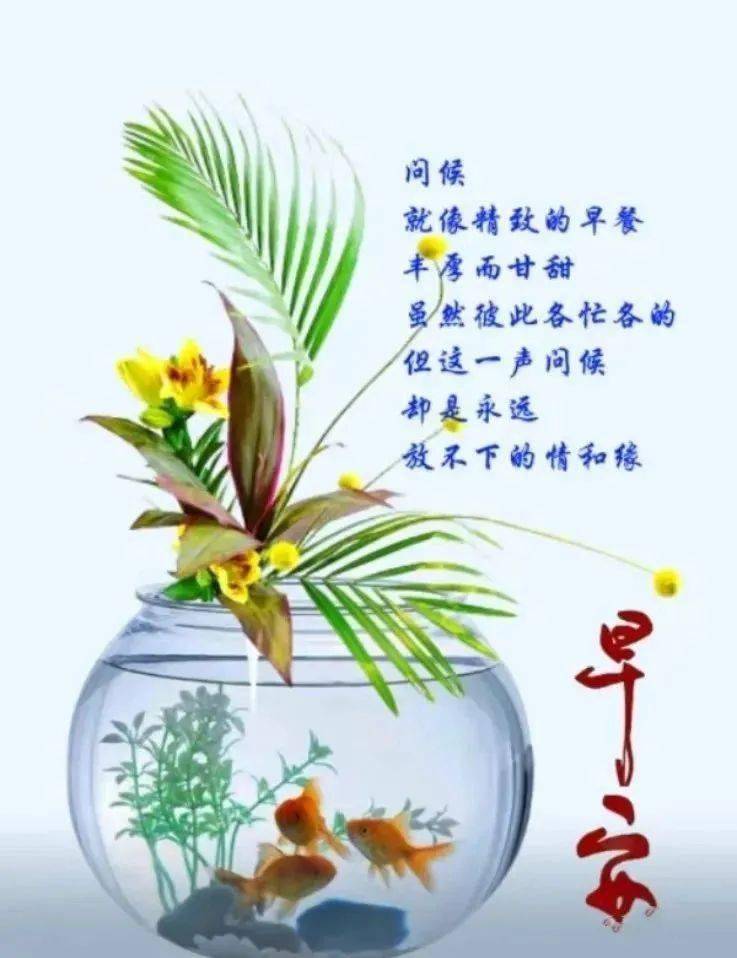 今日最新早安早上好精选,祝福常有,情谊长在_问候_生活_短信