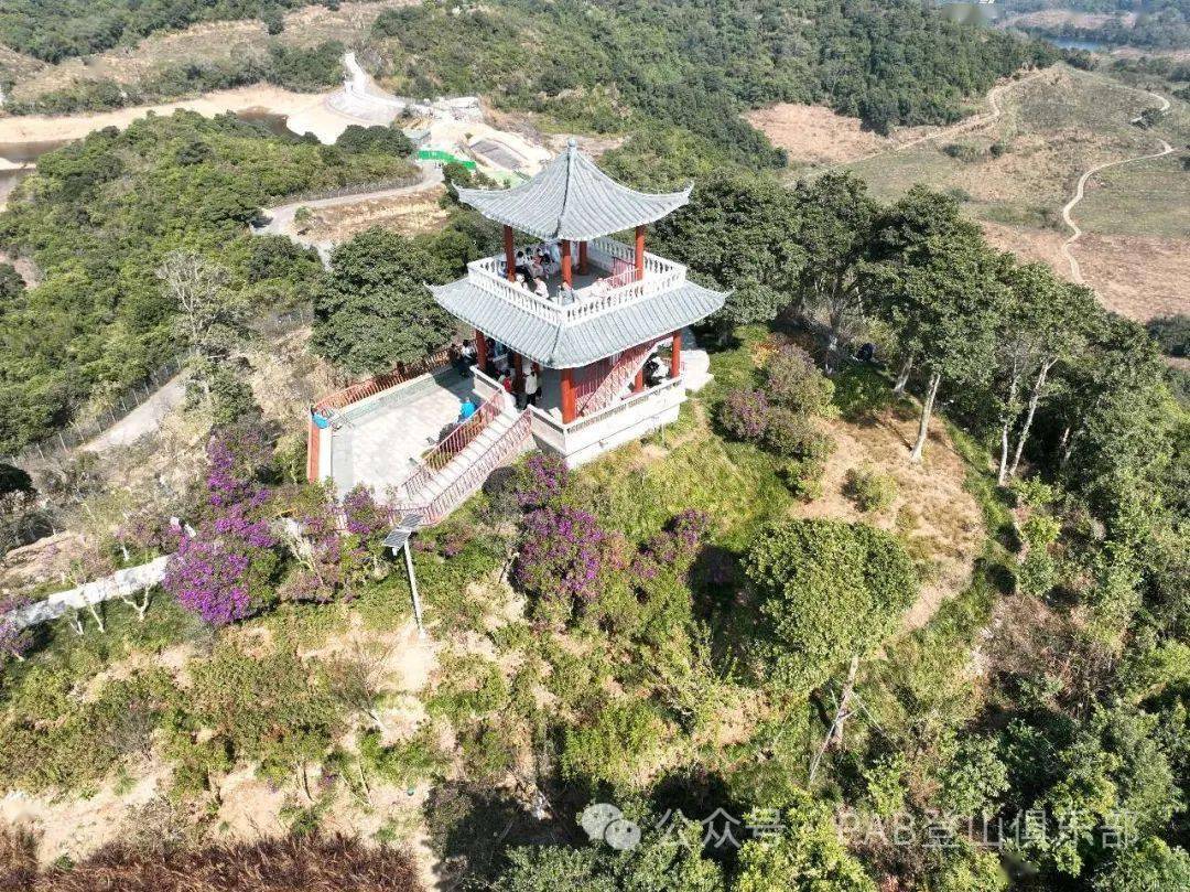 马峦山赏梅小环线_梅花虽_梅沙_山顶