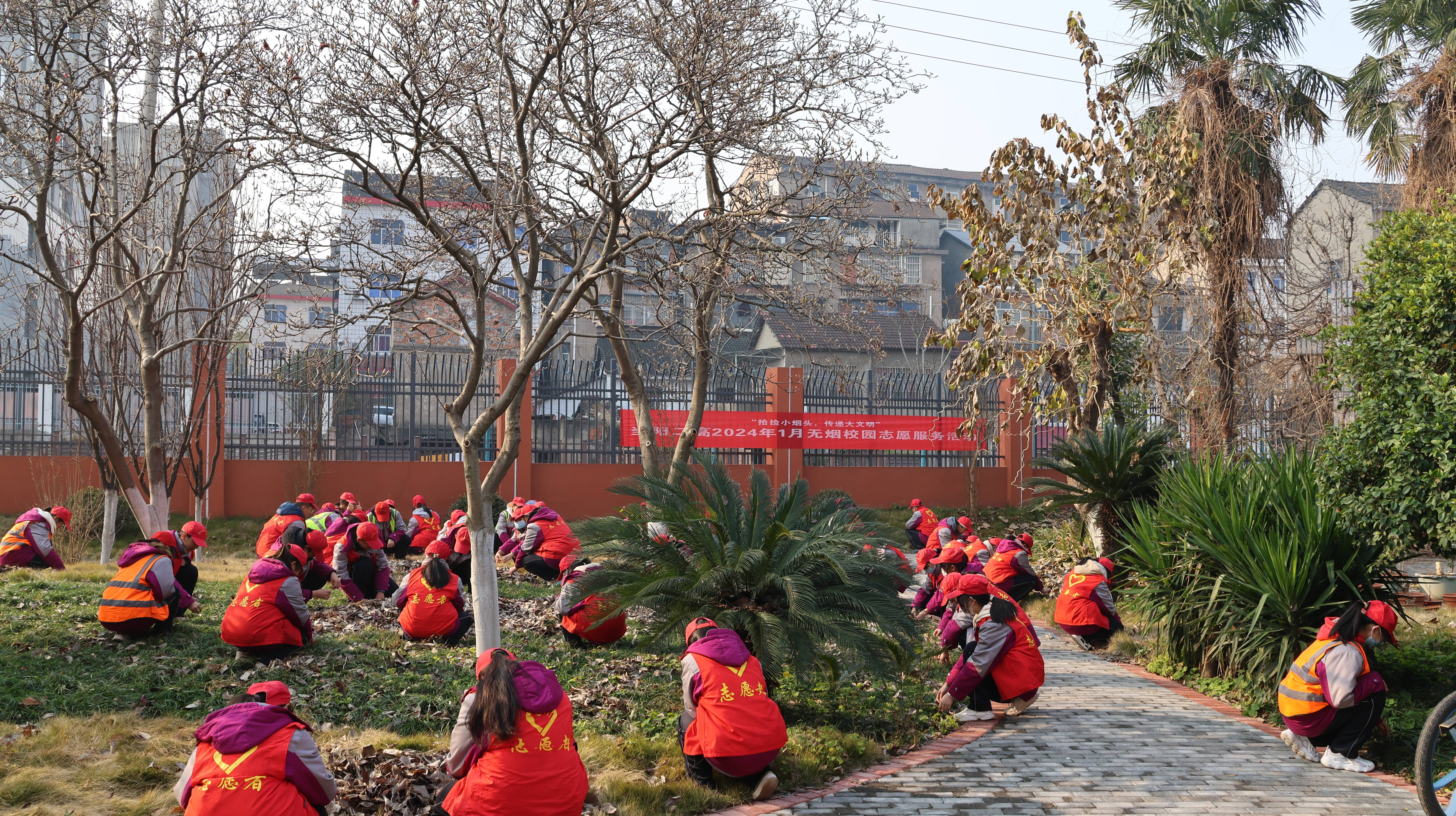 当阳二高校花图片